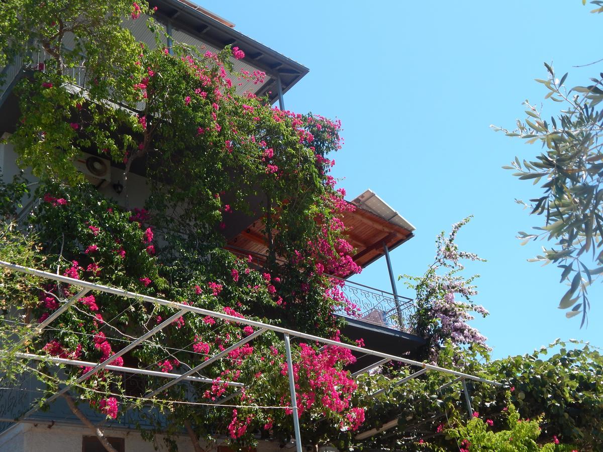 Sofia Apartments Sívota エクステリア 写真